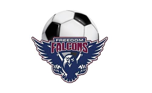 Falcons