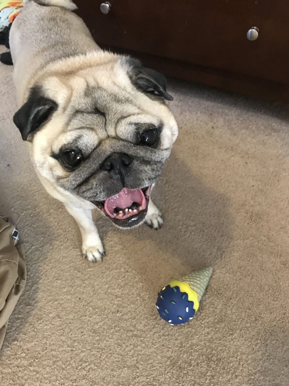 Biggie says hello