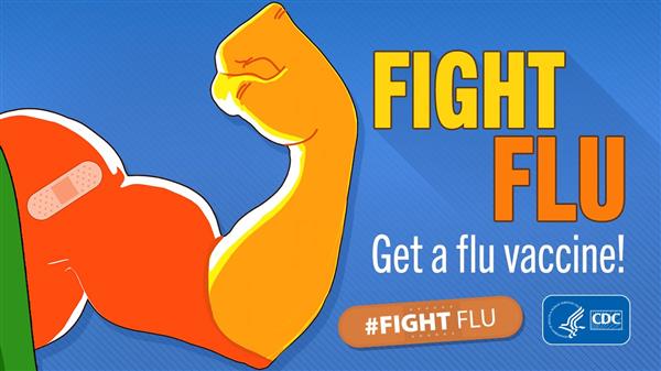 Fight Flu! Fight Flu!