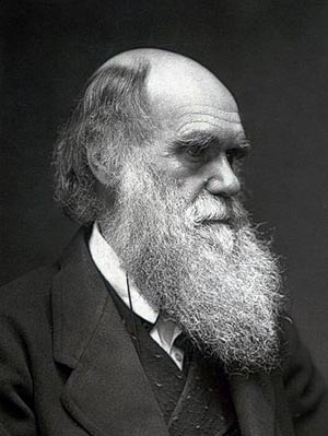 darwin darwin